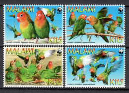 Malawi 2009 / Birds WWF MNH Vögel Aves Oiseaux / Cu21834  38-16 - Sonstige & Ohne Zuordnung