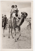 Snapshot Femme Tourisme Chameau Dromadaire Tourisme Cirque Plage - Anonymous Persons