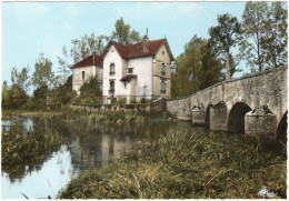 89. Gf. ANNAY-SUR-SEREIN. Vieux Pont, Mairie Et Ecole. 89202 - Autres & Non Classés