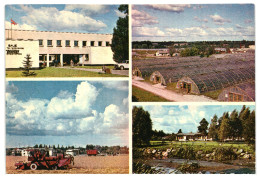 Vegetable-Breeding State Farm Named After Lenin, Saue, Soviet Estonia 1970s Unused Postcard. Publ: Eesti Raamat - Estonie