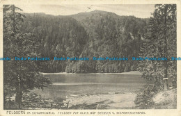 R629988 Feldberg Im Schwarzwald. Feldsee Mit Blick Auf Seebuck. 1933 - Monde