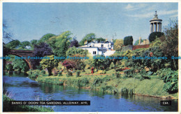 R631449 Ayr. Banks O Doon Tea Gardens. Alloway. A. D. Henderson. 1956 - Monde