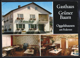 AK Oggelshausen Am Federsee, Gasthaus Grüner Baum In Drei Ansichten  - Sonstige & Ohne Zuordnung