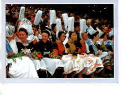 CP A La Fête Des Brodeuses De PONT L'ABBE (Finistère) - Pont L'Abbe