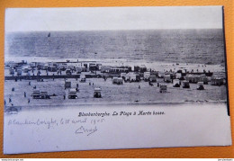 BLANKENBERGE - BLANKENBERGHE -   La Plage à Marée Basse  -  1905 - Blankenberge