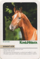 Horse, Czech Republic, 2015 - Klein Formaat: 2001-...