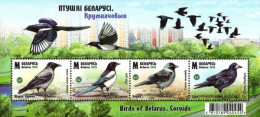 2024 1577 Belarus Birds Of Belarus - Corvids MNH - Bielorrusia