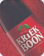 #D300-021 Viltje Boon - Bierdeckel