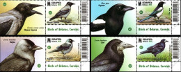 2024 1577 Belarus Birds Of Belarus - Corvids MNH - Wit-Rusland