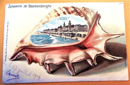 BLANKENBERGE - BLANKENBERGHE -   Souvenir De Blankenberghe  -  1904 - Blankenberge