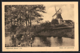 AK Graal, Windmühle Mit Lehrerteich  - Windmills