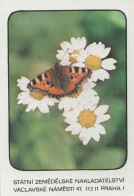 Butterfly, Czech Republic, 1988 - Petit Format : 1981-90