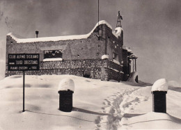 Cartolina Madonie - Piano Zucchi ( Palermo ) Rifugio Luigi Orestano - Palermo