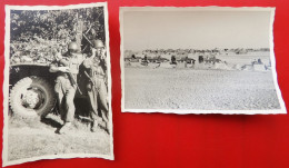 Lot De 2 Photo Guerre D Algerie USM1 Half Track - Guerra, Militares