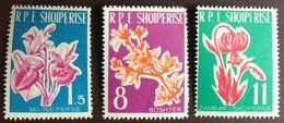 Albania 1961 Flowers MNH - Other & Unclassified