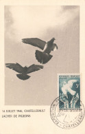 France Carte Maximum 1946 Chatellerault Lacher De Pigeons 14 Juillet Cachet Exposition Philatélique  Pigeon Timbre N°761 - 1940-1949
