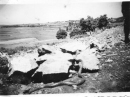 Photographie Vintage Photo Snapshot Serpent Snake Kandar  - Andere & Zonder Classificatie