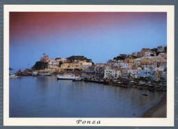 °°° Cartolina - Ponza Porto - Nuova °°° - Latina