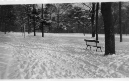 Photographie Vintage Photo Snapshot Neige Hiver Snow Winter Banc Bench - Other & Unclassified