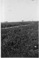 Photographie Vintage Photo Snapshot Avion Aviation Plane Hélice Horizon - Luchtvaart