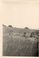 Photographie Vintage Photo Snapshot Fleurs Champ Pré Campagne Groupe - Anonymous Persons