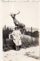 Photographie Vintage Photo Snapshot Mohawk Sculpture Cerf Art  - Other & Unclassified