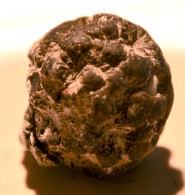 Nodule De Marcassite - Minerals