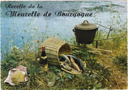 LOT DE 50 CARTES  DE RECETTES DE CUISINE:  Editions: LYNA, Clémentine,Segnu,Bos, Thouand,Rose-Rosette,Edy - 5 - 99 Postcards