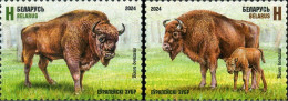 2024 1584 Belarus European Bison MNH - Wit-Rusland