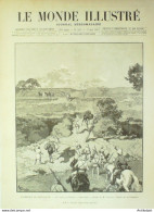 Le Monde Illustré 1895 N°2002 Madagascar Tsarasotra Tamatave Auberchicourt Aniches (59) - 1850 - 1899