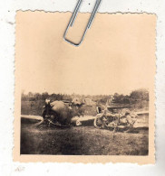 PHOTO AVIATION  AVION   ACCIDENT CURTISS P-36 HAWK FRANCAIS - Aviación