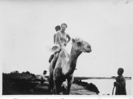 Photographie Vintage Photo Snapshot Chameau Camel Couple - Andere & Zonder Classificatie