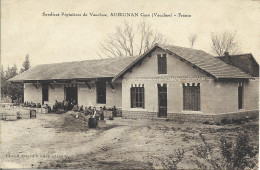 1A1 --- 84 AUBIGNAN Gare - Syndicat Pépinières De Vaucluse - Non Classés