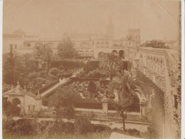 Grande Photographie Ancienne ~1880 Espagne 28x22 Cm. Séville Galerie De Pierre Le Cruel. L'Alcazar - Tirage Albuminé - Ancianas (antes De 1900)