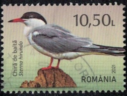 Roumanie 2021 Oblitéré Used Oiseau Sterna Hirundo Sterne Pierregarin Y&T RO 6679 SU - Usati