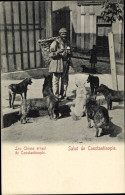 CPA Konstantinopel Istanbul Türkei, Mann Füttert Hunde, Korb, Brot - Turquie