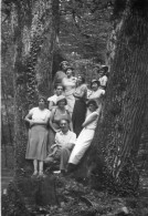 Photographie Vintage Photo Snapshot Fontainebleau Groupe Mode Arbre Tree - Personnes Anonymes