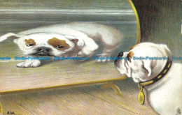 R632634 Dog. Tuck. The Magic Mirror Series. No. 6497. 1909 - Monde