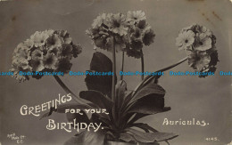 R631951 Greetings For Your Birthday. The Rapid Photo Printing. 1908 - Monde
