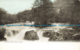 R631957 Bettws Y Coed. Firs Island - Monde