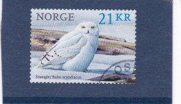 Norway Sneeuwuil (Bubo Scandiacus)  Used - Búhos, Lechuza