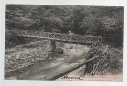 CPA - 31 - N°175 - Luchon - Pont Sur La Pique Au Gouffre Marie-Louise - Circulée En 1905 - Luchon