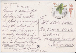 Seychelles Carte Postale Affranchissement Timbre Mangrove Stamp Air Mail Postcard 1987 - Seychellen (1976-...)