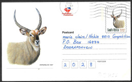 Sud Africa/South Africa/Afrique Du Sud: Intero, Stationery, Entier, Antilope, Antelope - Other & Unclassified