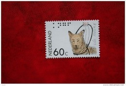 Blinde Geleide Hond Dog Chien  Hund NVPH 1321 (Mi 1263); 1985 POSTFRIS / MNH ** NEDERLAND / NIEDERLANDE - Ungebraucht