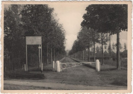 Westmalle - Kinderpreventorium Hickendorf - Malle