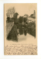 CHÂTEAU-DU-LOIR - L'Ire Aux Jardins Du Grand Douai - Chateau Du Loir