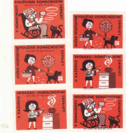Czech Republic, 6 Matchbox Labels, Use Of Matches In The Household, Cat, Dog, Stove - Zündholzschachteletiketten