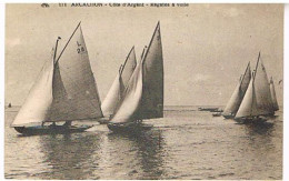 33   ARCACHON  REGATES A VOILE - Arcachon