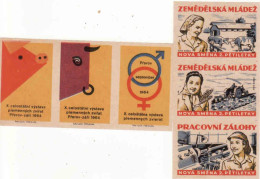 Czech Republic, 6 Matchbox Labels Prerov 1964- Exhibition Of Breeding Animals Cow, Requires, Tractor, Work In The Fields - Zündholzschachteletiketten